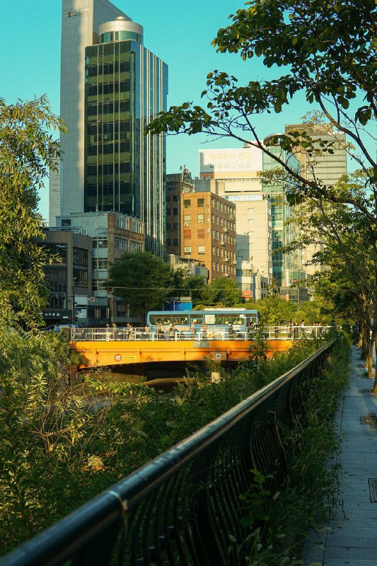 Busy street scene along Cheonggyecheon Stream with a golden bridge